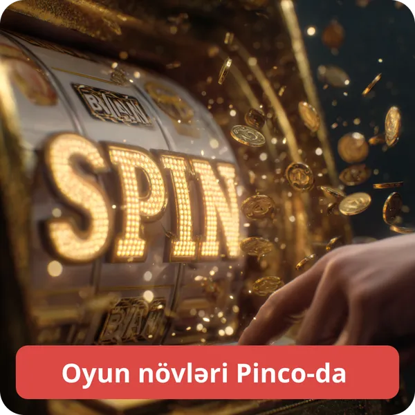 Oyun növləri Pinco-da